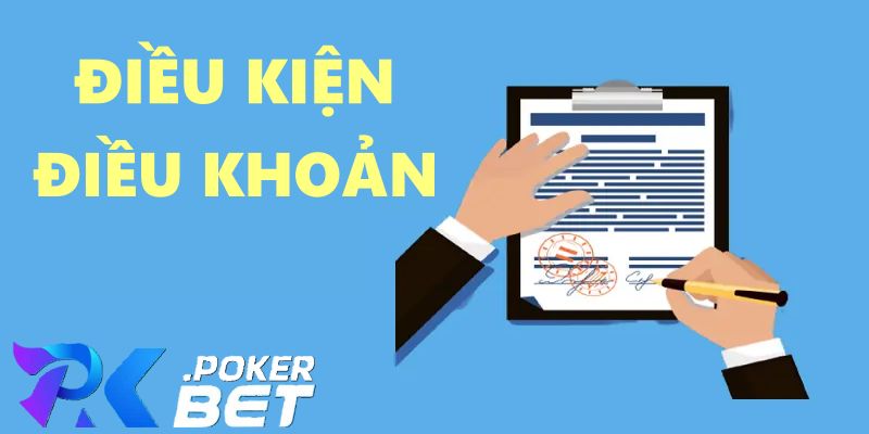 Điều Kiện Điều Khoản
